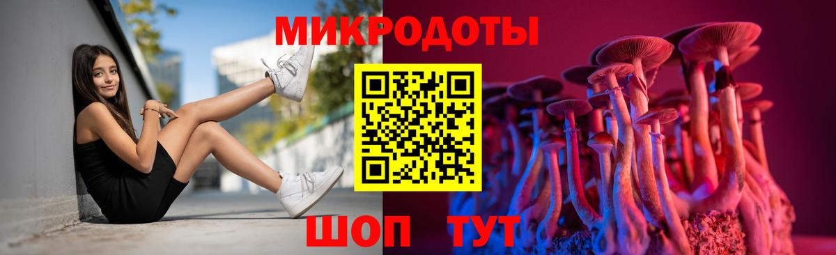 Псилоцибиновые грибы мицелий Воткинск